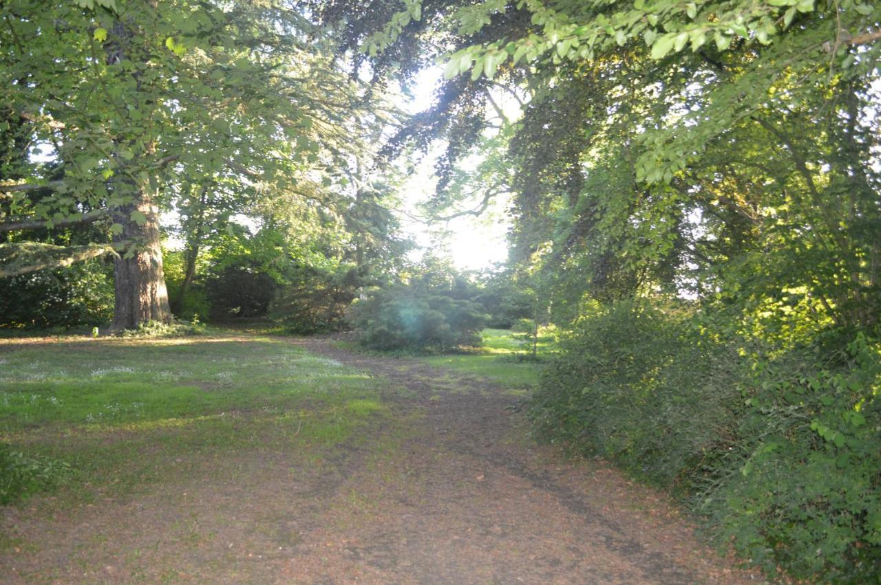 La Gentilhommiere Du Chateau De Ragnies Exteriér fotografie